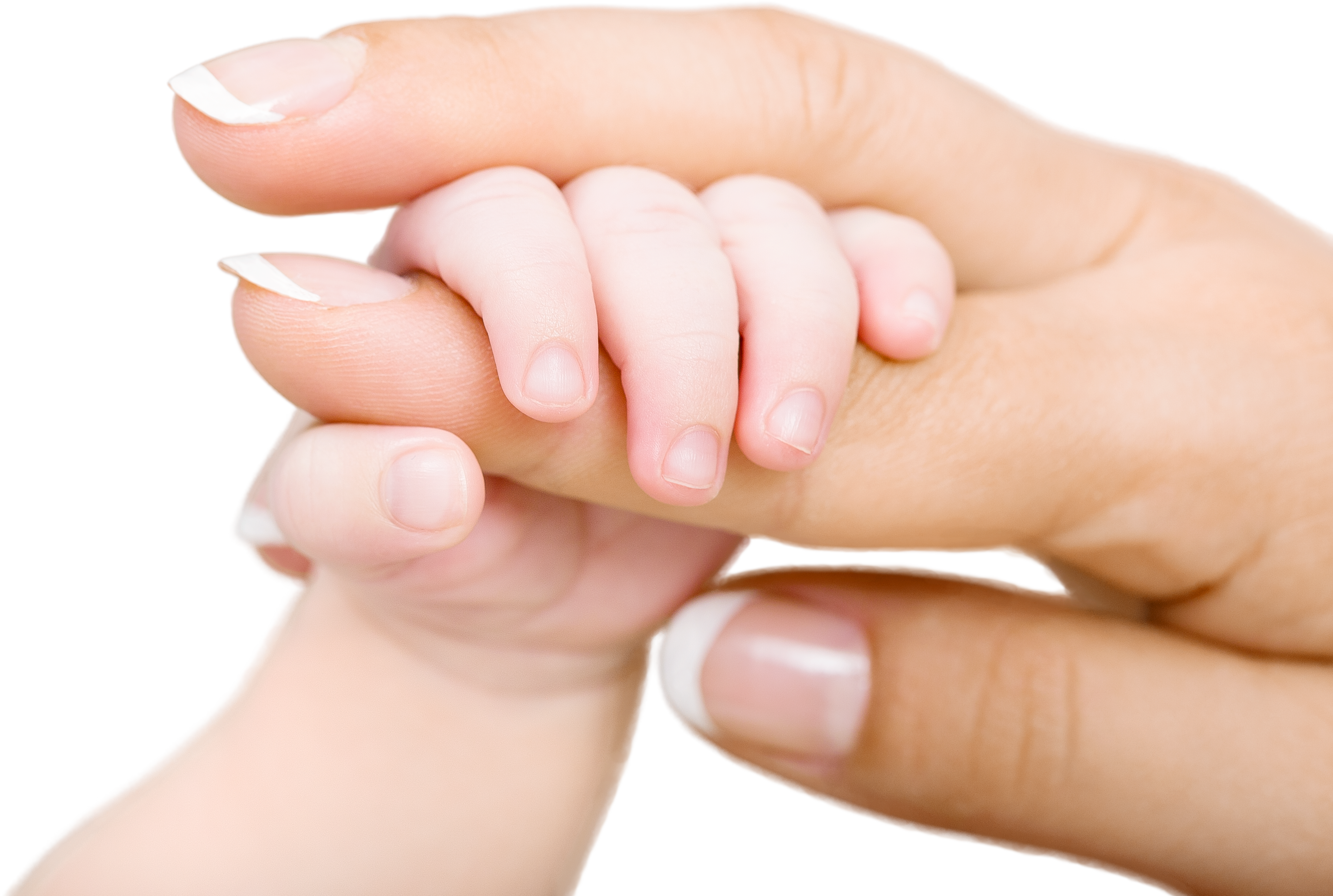 Mother and Child's Hand 